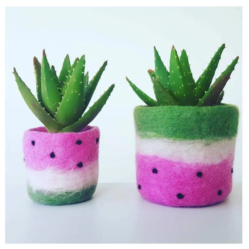 Handmade NZ Wool Watermelon Pot