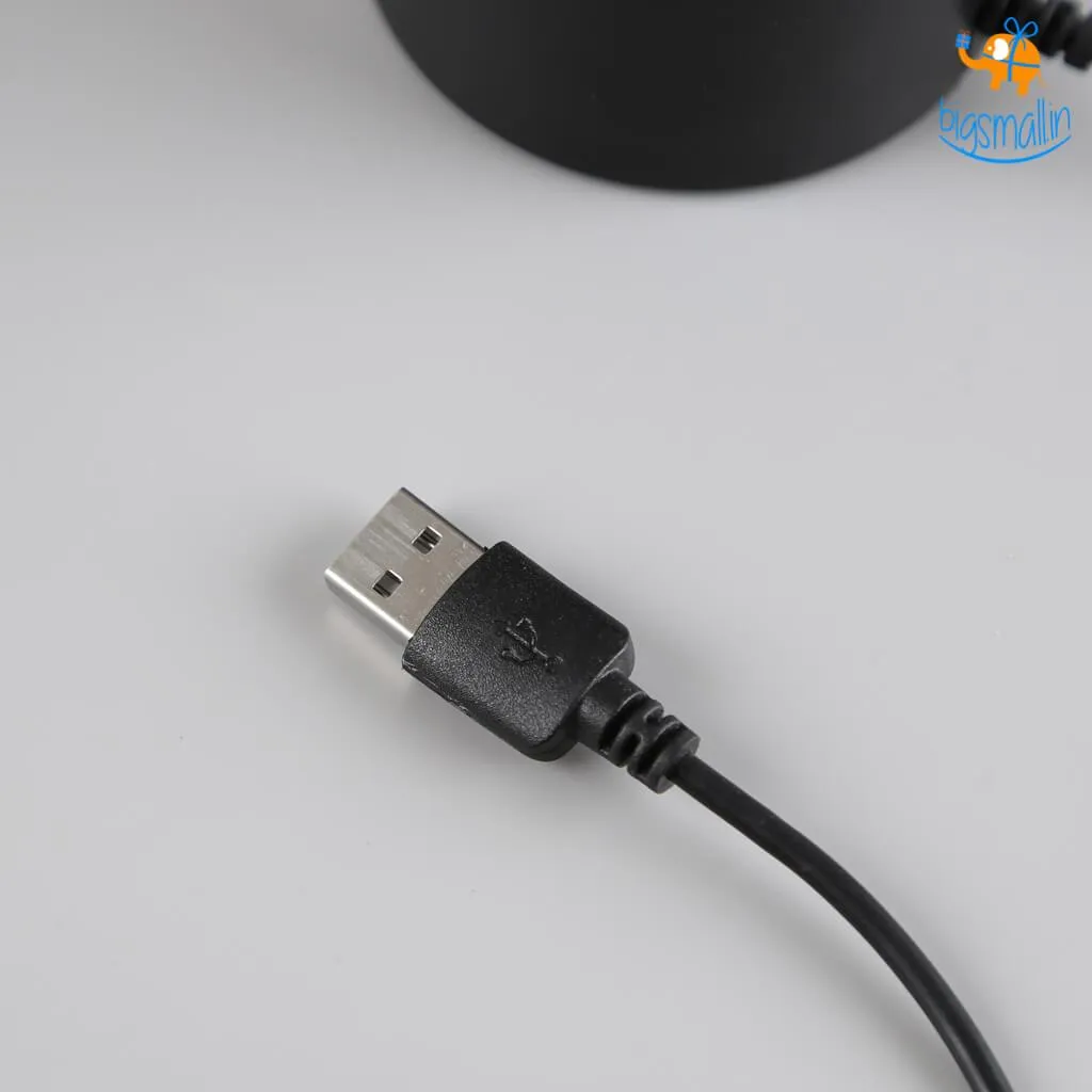 Magnetic Heng Balance Lamp